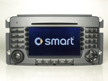 Forfour I (W454) Displayfehler Radio DVD Navigationssystem