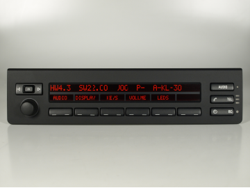 X5 E53 Pixelfehler MID